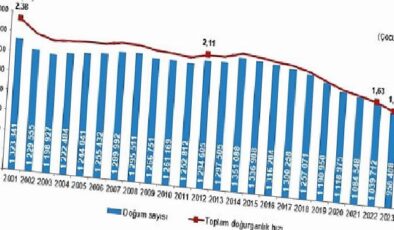 Tüik: Canlı doğan bebek sayısı 958 bin 408 oldu