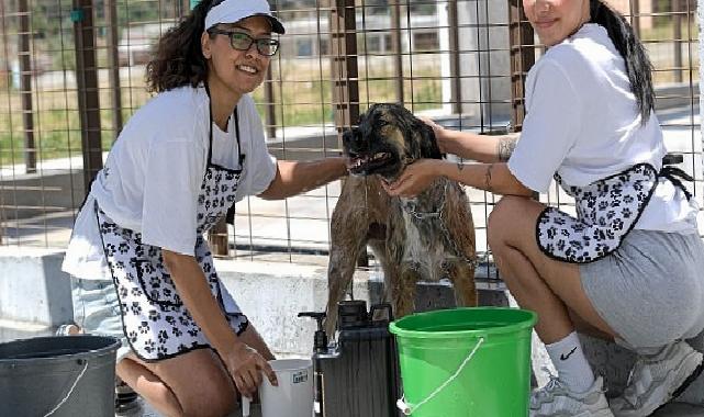 Bunaltan sıcaklarda can dostlar unutulmadı