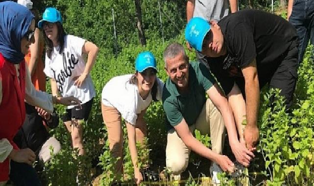 Özel çocuklarımız sebze ve aromatik bitki yetiştiriyor